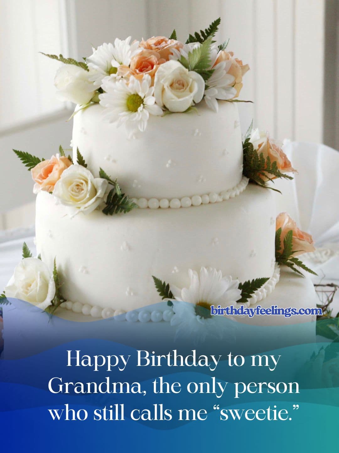 Funny Birthday Wishes for Grandma Grandma Birthday Wishes Funny Birthday Wishes for Grandma
